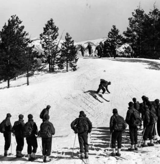 Black and white photograph of several soldiers, all wearing skis, watching as one person skis down a small slope.