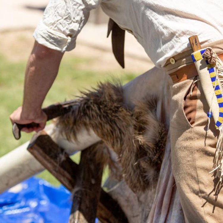 Close up of man dressed in buckskin pants and a linen shirt. He is wearing a knife in a beaded buckskin sheath and scraping a bison hide.
